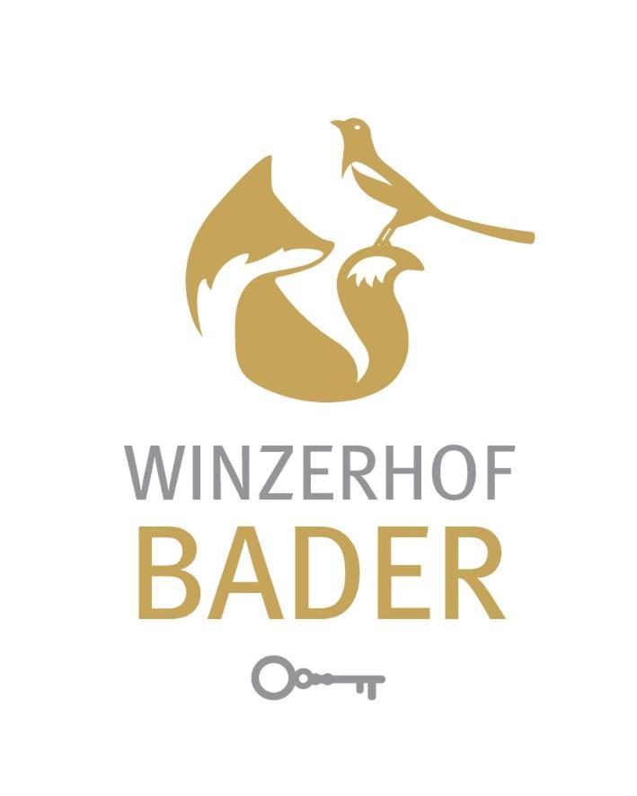 Gaestehaus Winzerhof Bader Heuchelheim-Klingen Exteriör bild